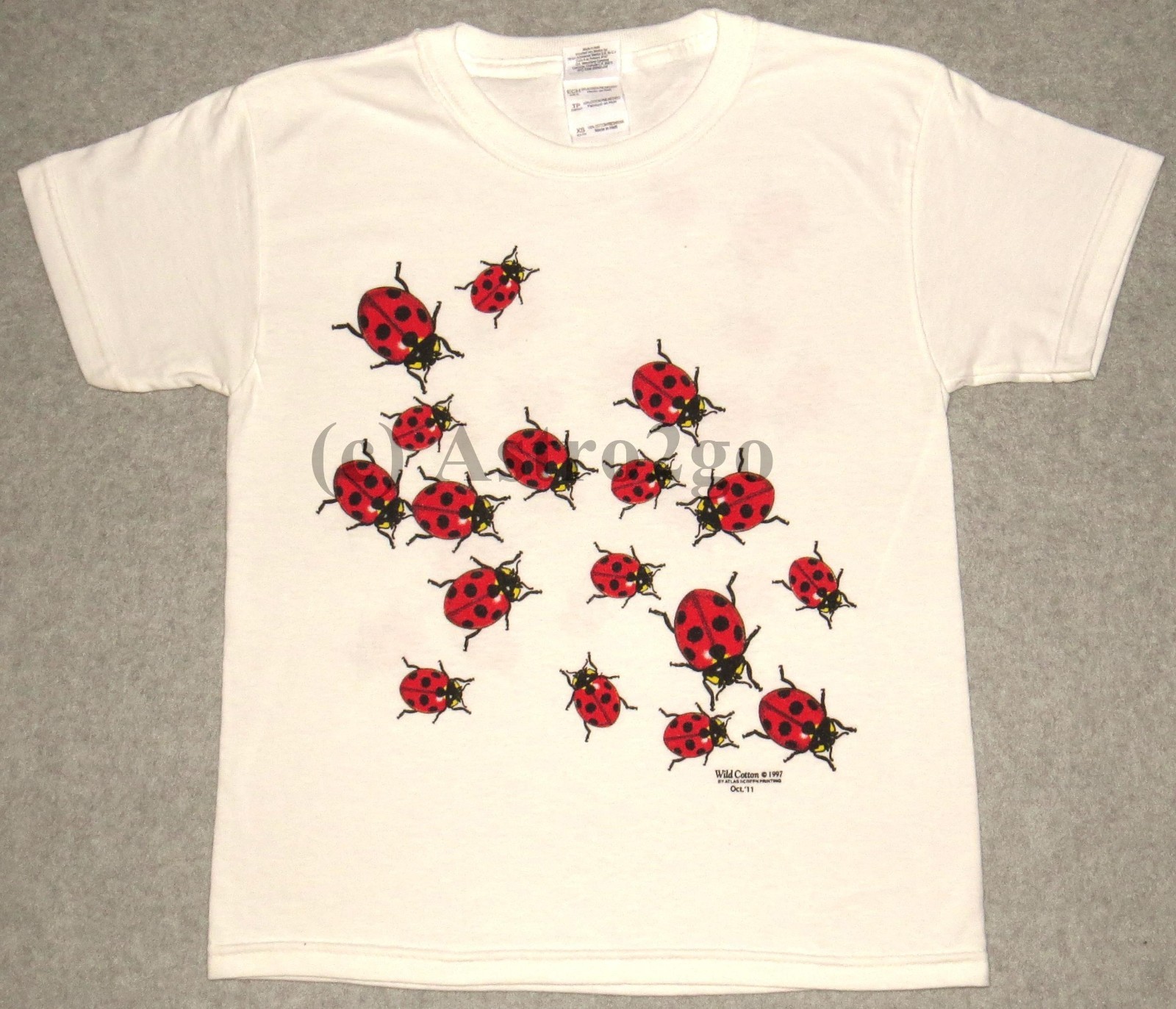 LADYBUGS–Beetles Bugs Insects Science Nature 2 sided Kids T shirt XS (2-4)