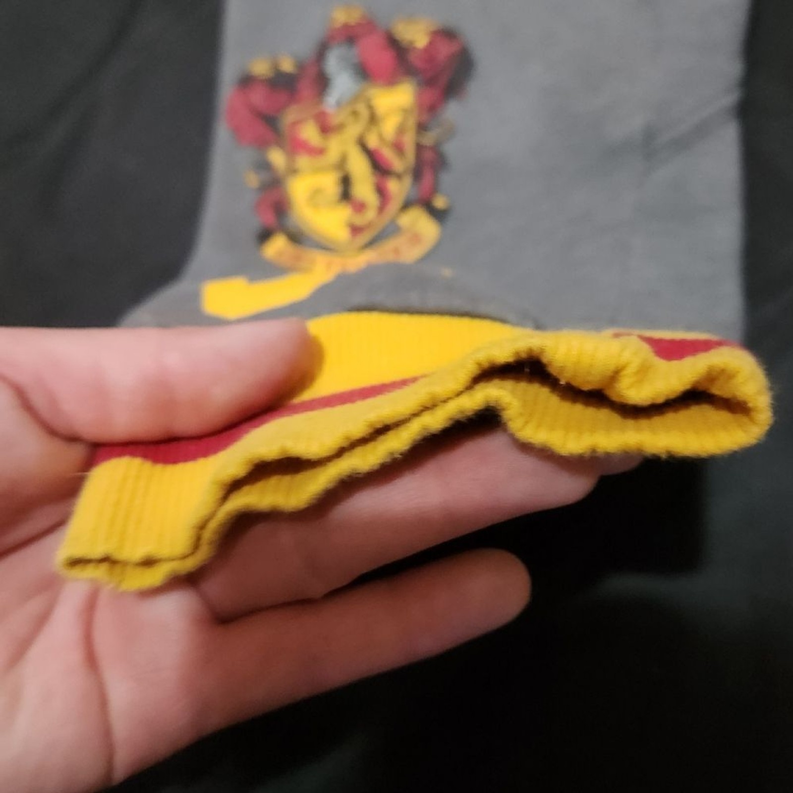 Warner Bros. Harry Potter Gryffindor Gray Joggers with Red and Yellow Accents L