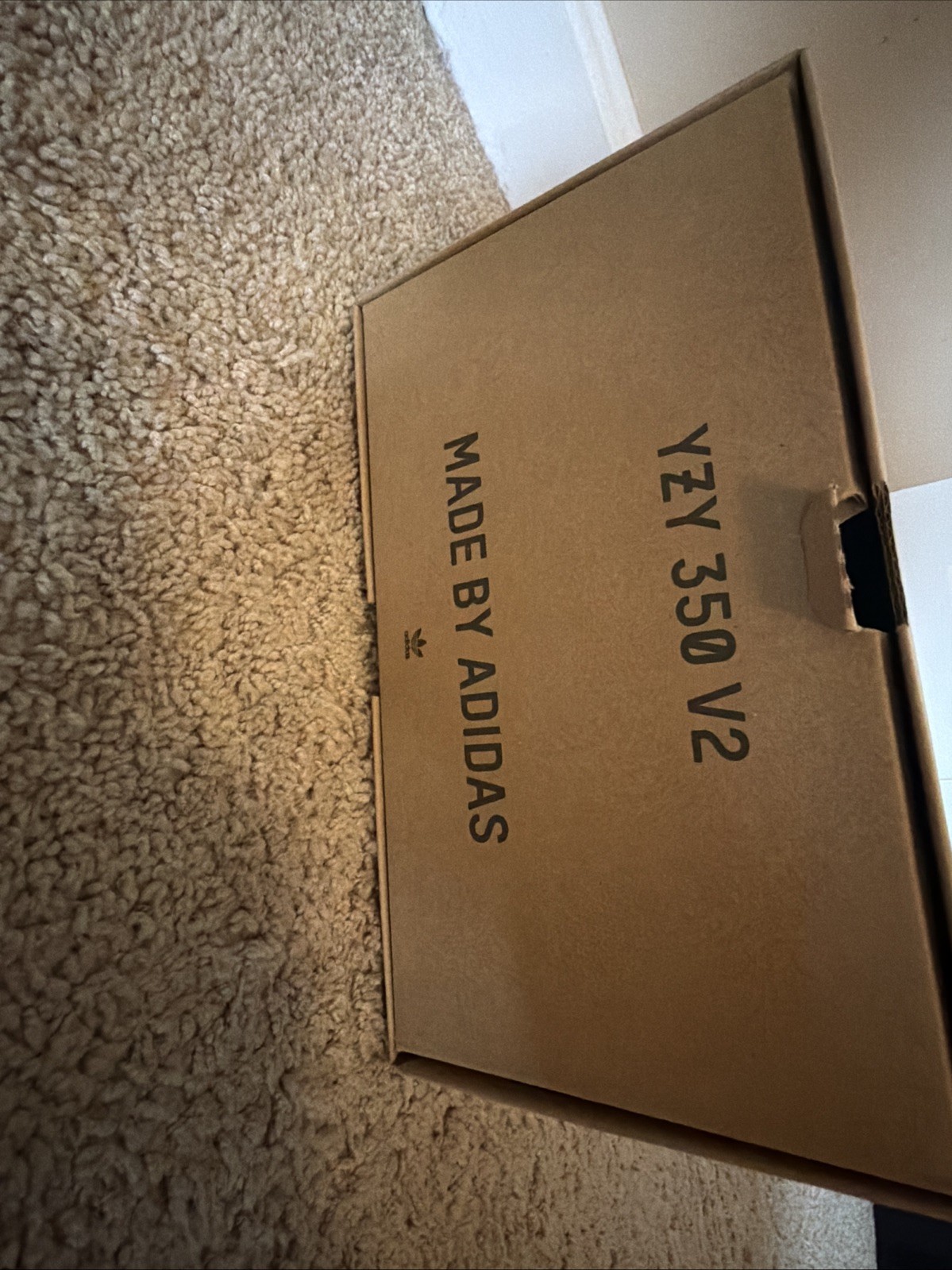 Size 10.5 – Adidas Yeezy Boost 350 V2 Steel Grey