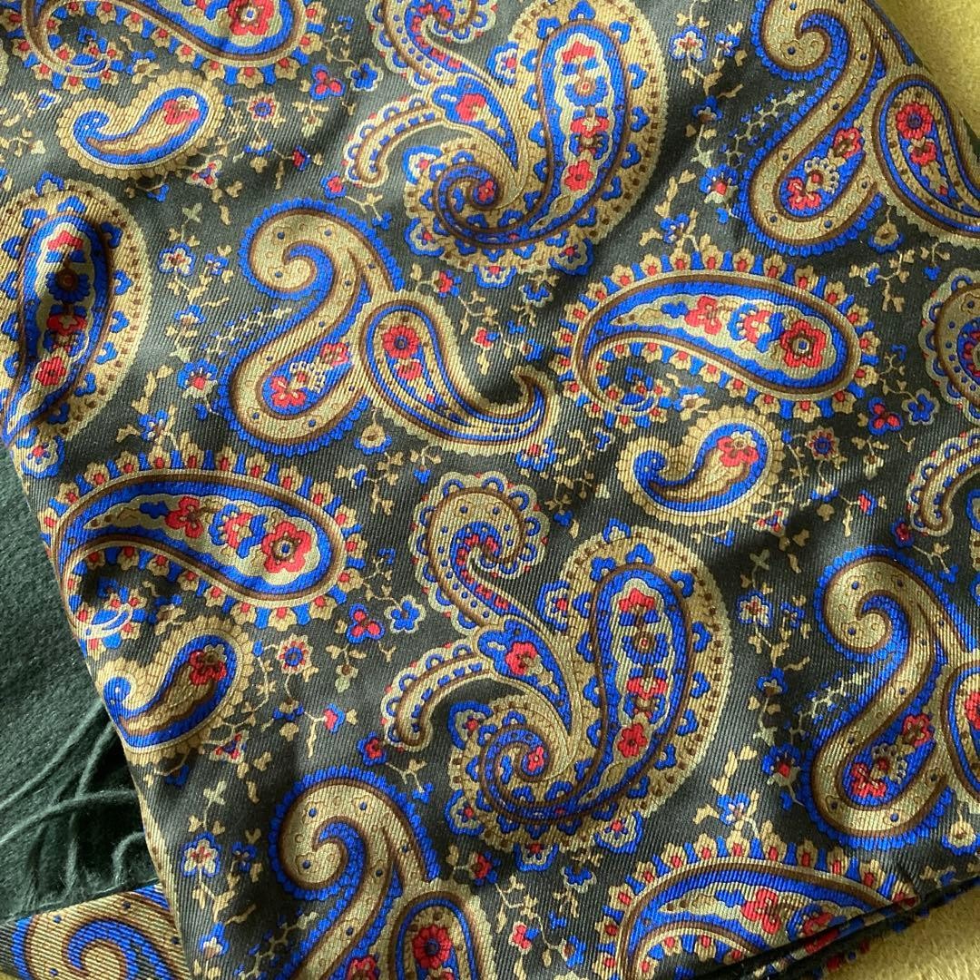 Etro Reversible Cashmere Silk Scarf 12.6×50.4in Unisex Mos Green