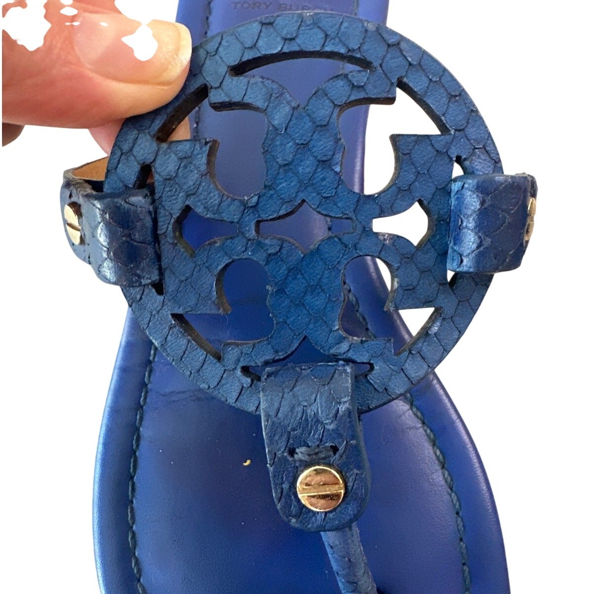 Tory Burch Miller Laguna Blue Snake Embossed Sandals Size 7.5