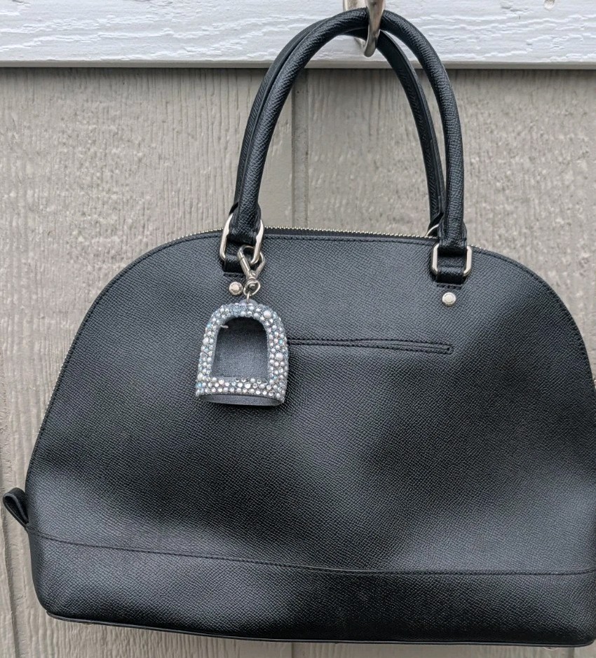 COACH SIERRA SATCHEL WITH STARDUST STUDS F22300 Black