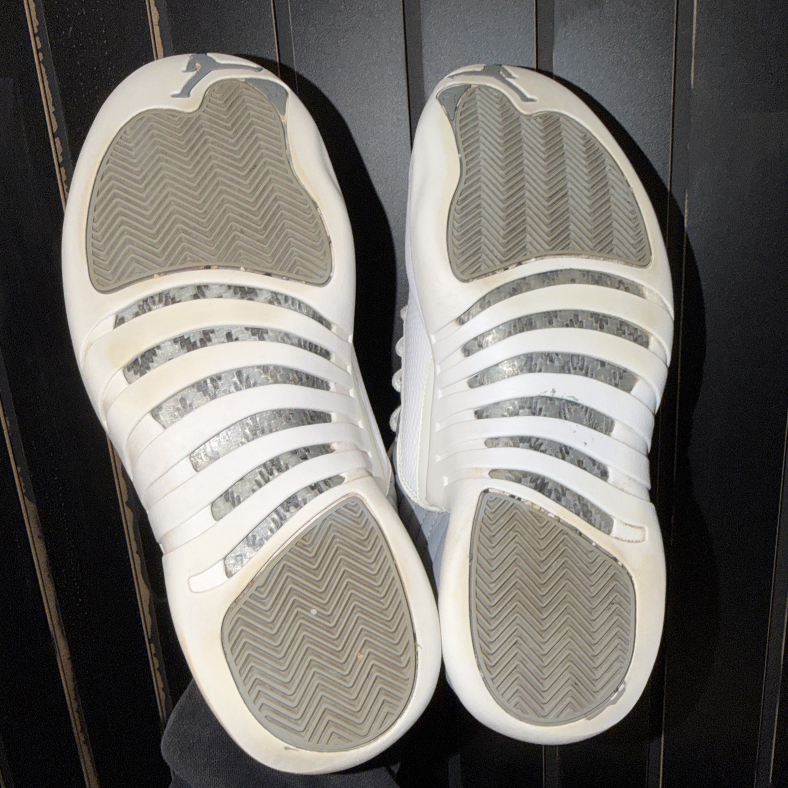 Size 10.5 – Jordan 12 Stealth 2022