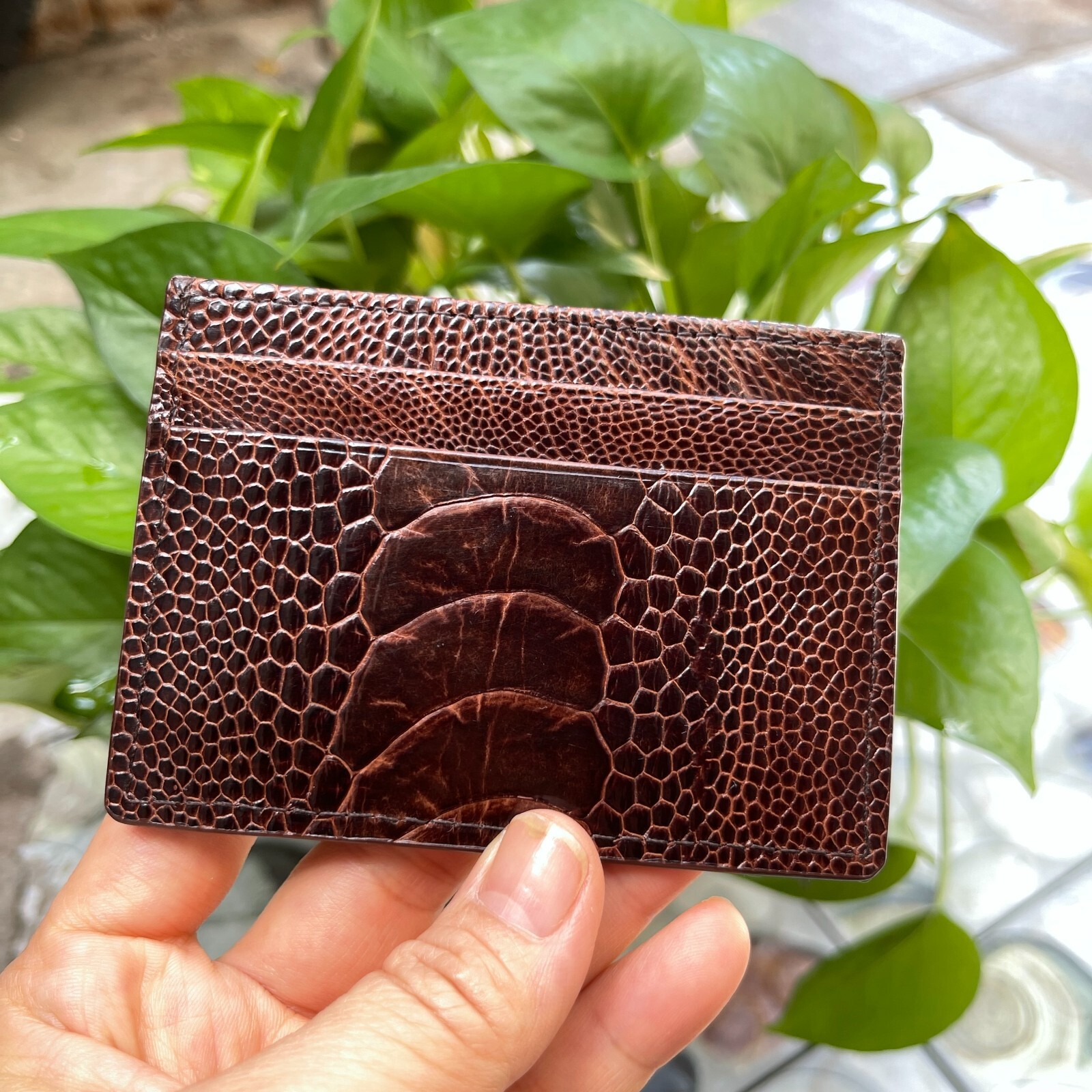 BrownGENUINE OSTRICH LEATHER SKIN CREDIT CARD HOLDER/ WALLET CARD HOLDER FOR MEN