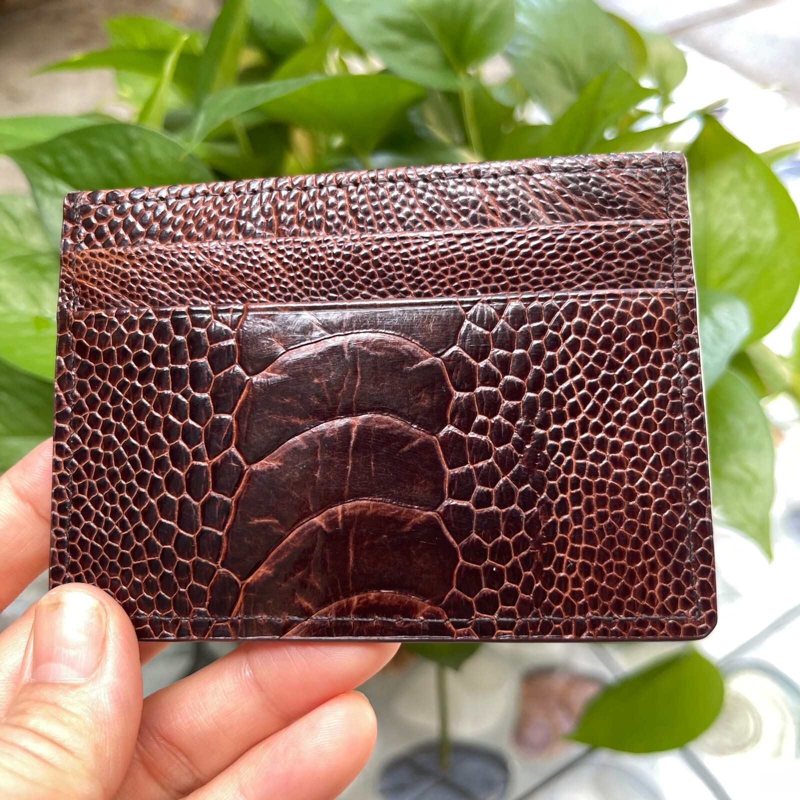 BrownGENUINE OSTRICH LEATHER SKIN CREDIT CARD HOLDER/ WALLET CARD HOLDER FOR MEN