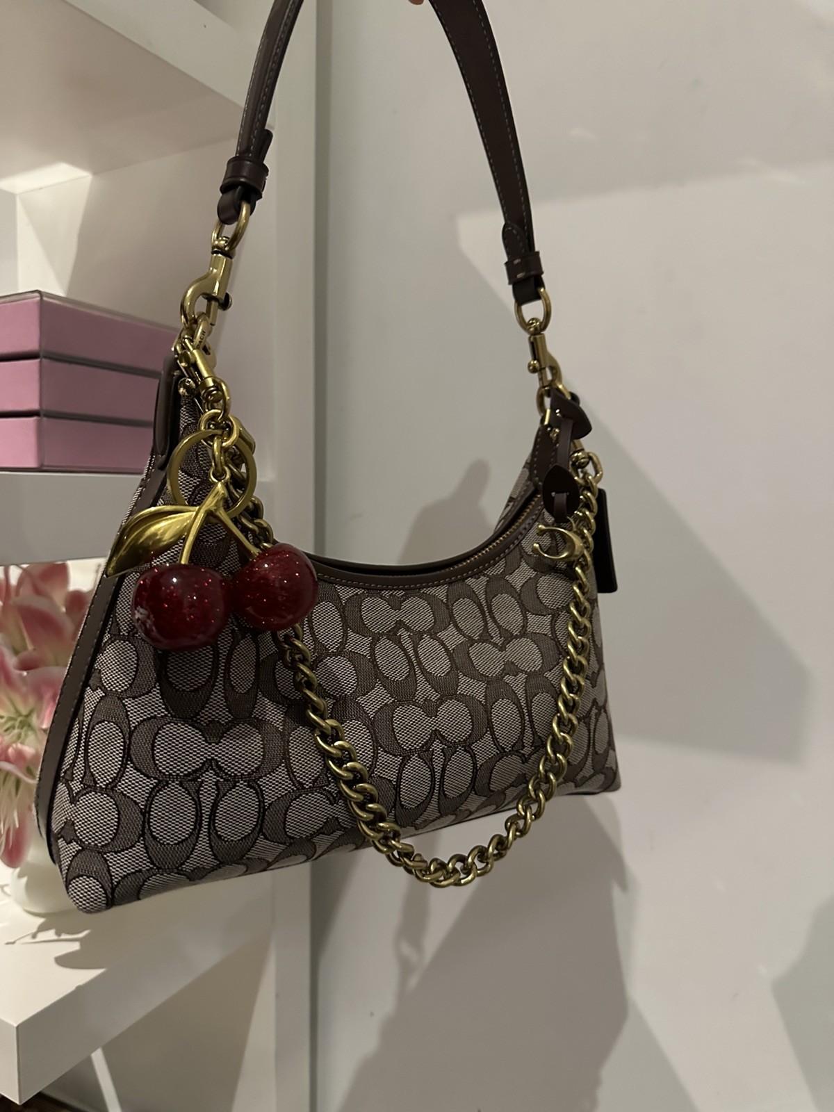 Coach Juliet Shoulder Bag Hand Bag Brown Dust bag 25