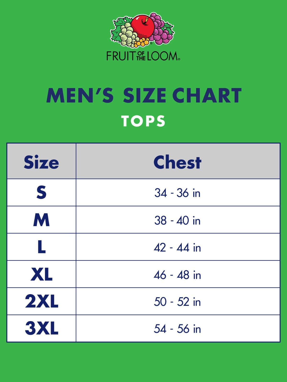 Men’s 6-Pack White V-Neck T-SHIRTS ” TAGLESS-COTTON~DUAL DEFENSE & Stays Tucked”
