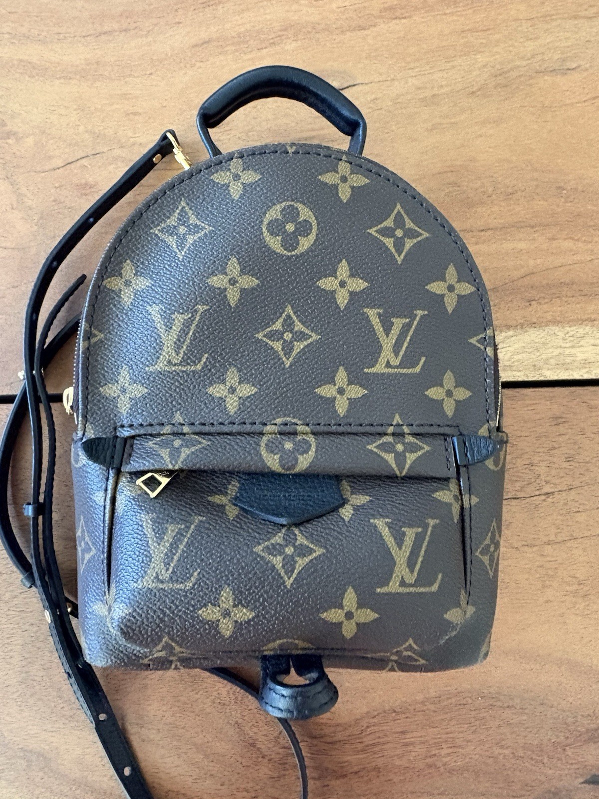 Louis Vuitton Palm Springs Backpack Mini Brown Canvas Monogram
