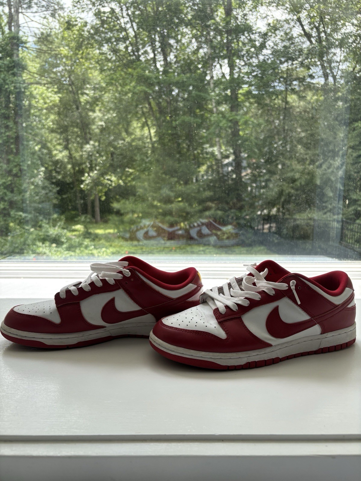 Nike Dunk Low Team Red/White Leather Low Top Men’s Sneakers DD1391-601