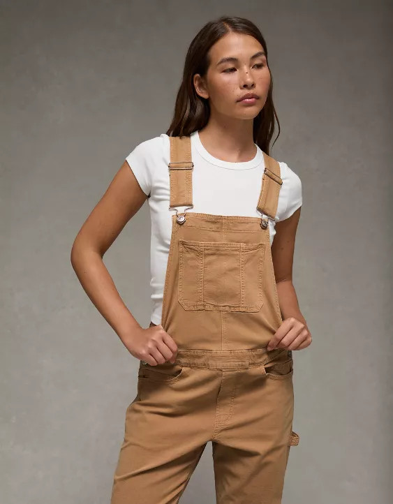 NWT AE Stretch Baggy Straight Overall