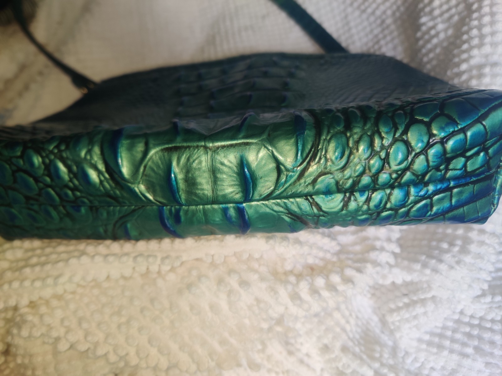Brahmin Peacock Lorelei