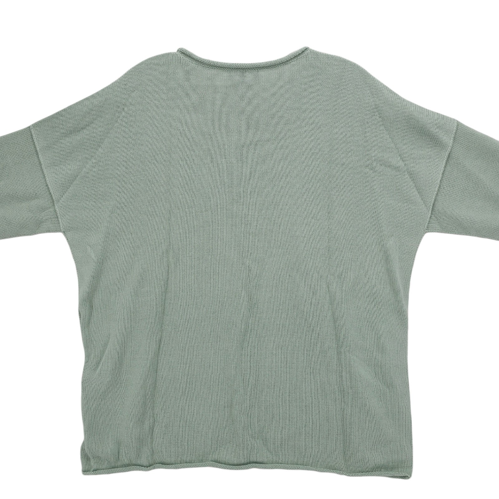 NWT EILEEN FISHER Boxy Pullover Absinthe Pale Green Rolled Hems PETITE LARGE