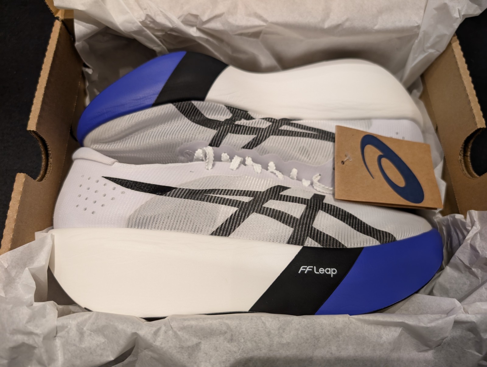 ASICS Metaspeed Ray, Men’s US 10.5, White / Cobalt Burst, 1013A176-101