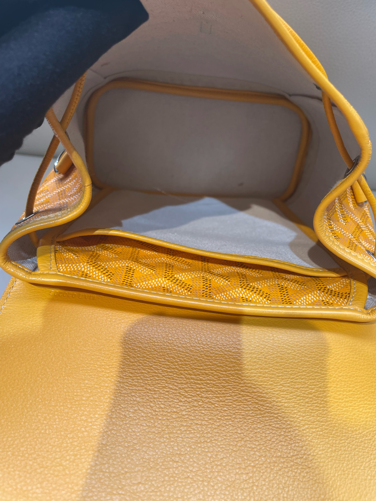 Goyard Alpin Mini Canvas Backpack（ 23×9.5×19 ）cm
