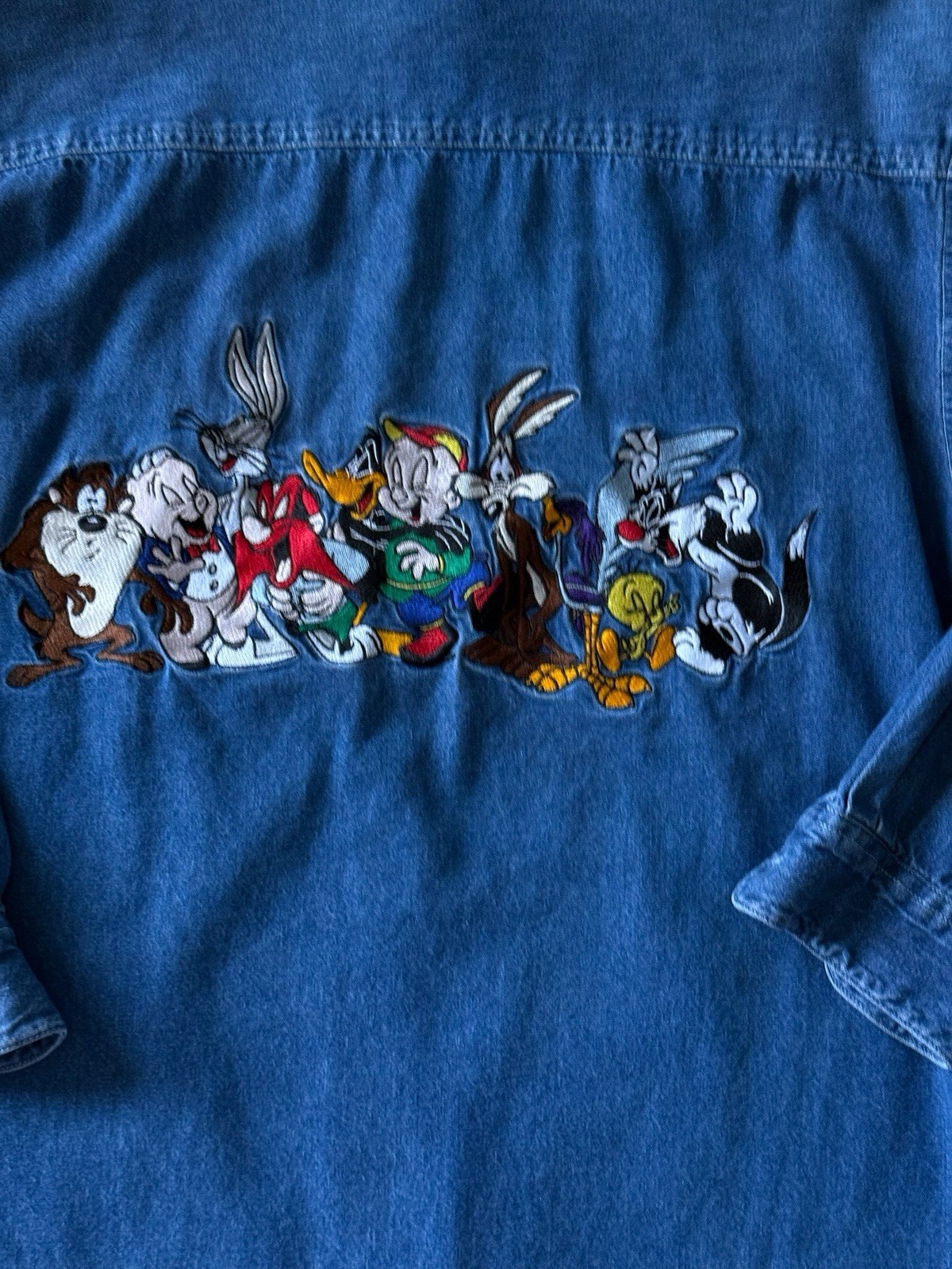 Warner Bros Studio Store Looney Tunes Denim Shirt Embroidered Vintage 90s Sz Sm