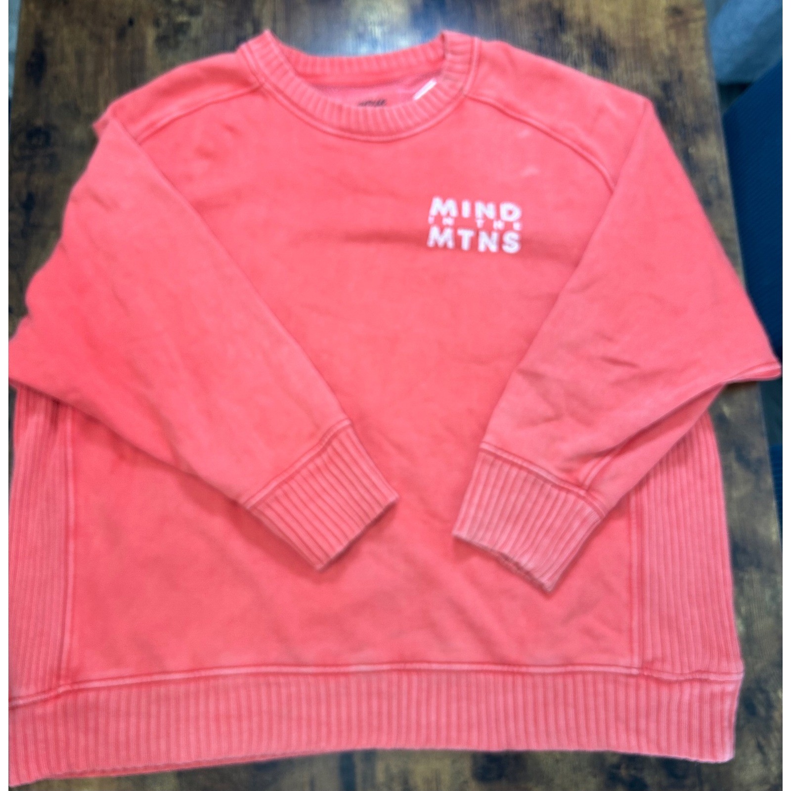 Aerie Coral Mind In The Mtns Graphic Oversized Crewneck Sweatshirt Womens Large