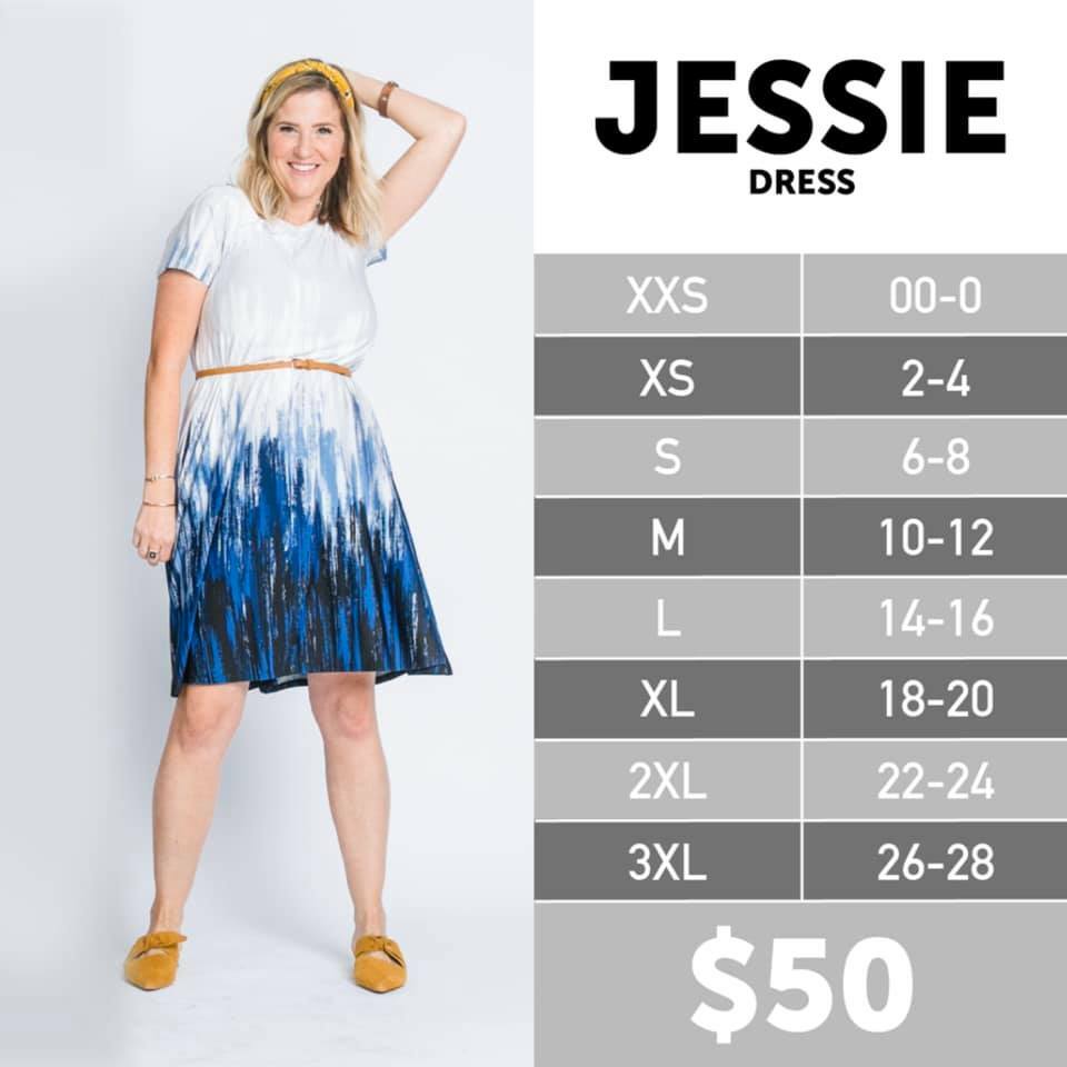 M Medium Womens LuLaRoe Jessie Pocket Dress Animal Print Tiger NEW