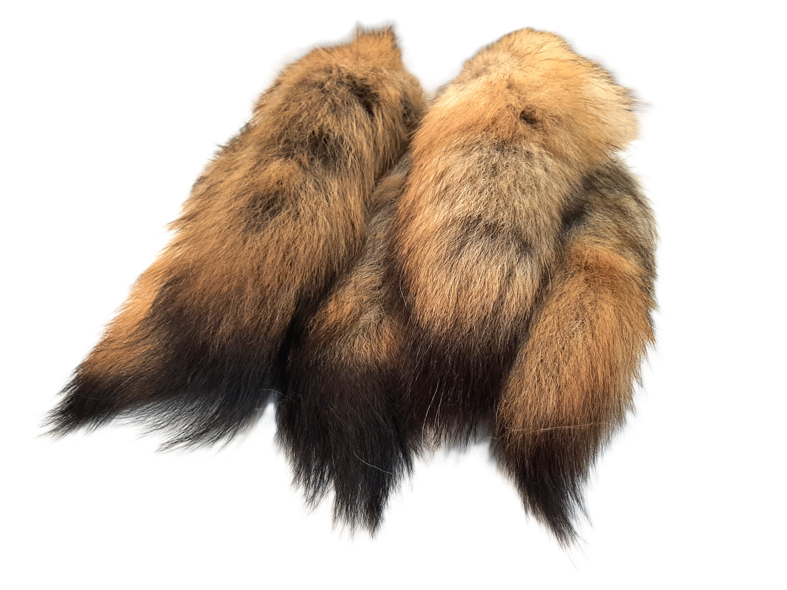 Coyote Tail, Real Fur Tail, Key Chain Option, Bulk Purchase Option