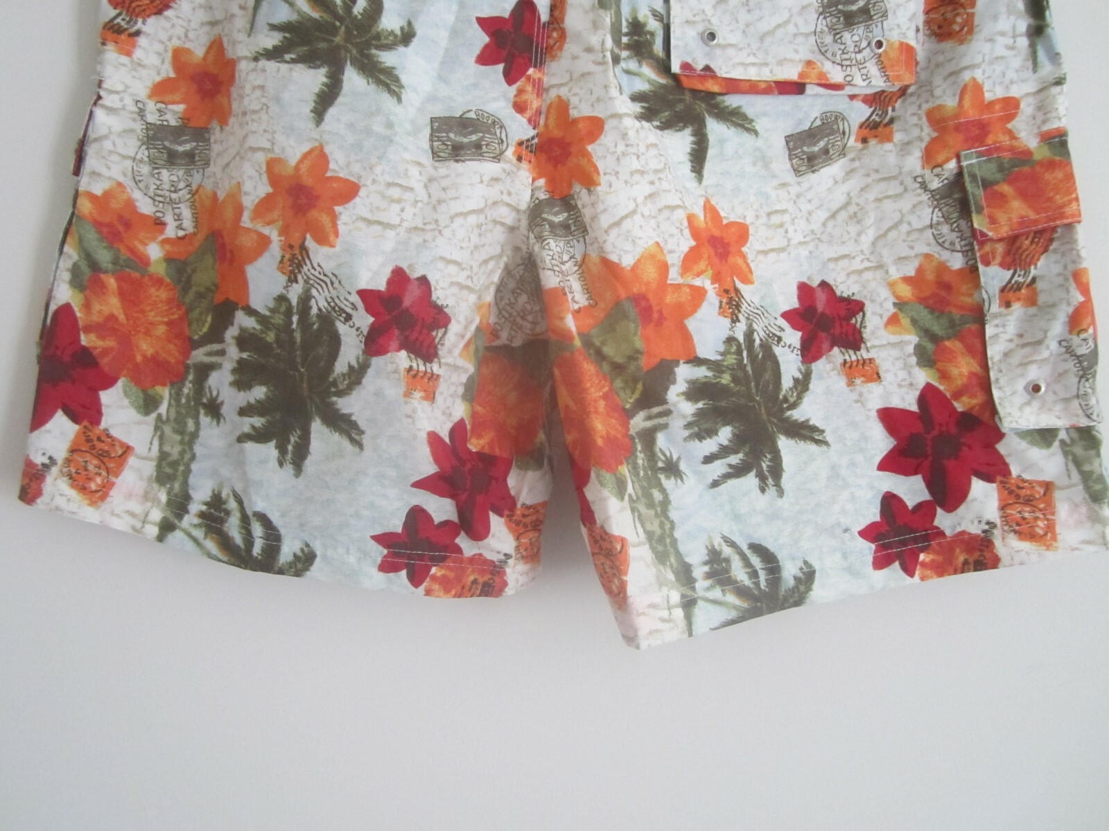CREMIEUX BEACyHWEAR MULTI COLOR BOARDSHORTS TRUNKS SZ L NEW with TAG