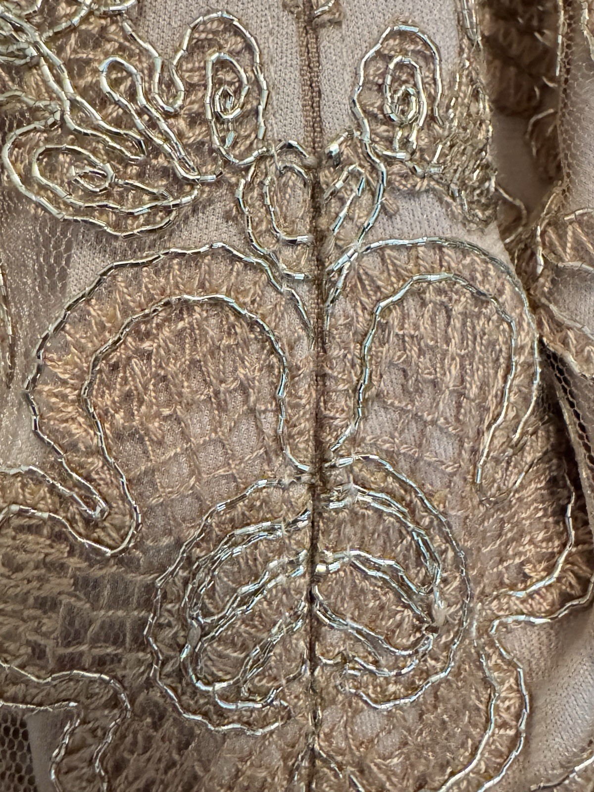 TADASHI SHOJI CORDED EMBROIDERED LACE DRESS SIZE 2