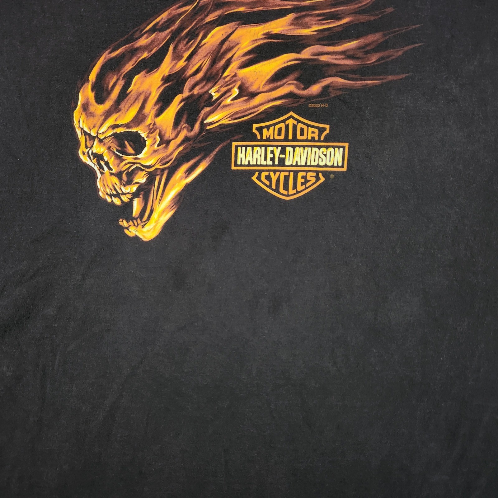 Harley Davidson Graphic Shirt Mens XL Black Flaming Skull High Country Wyoming