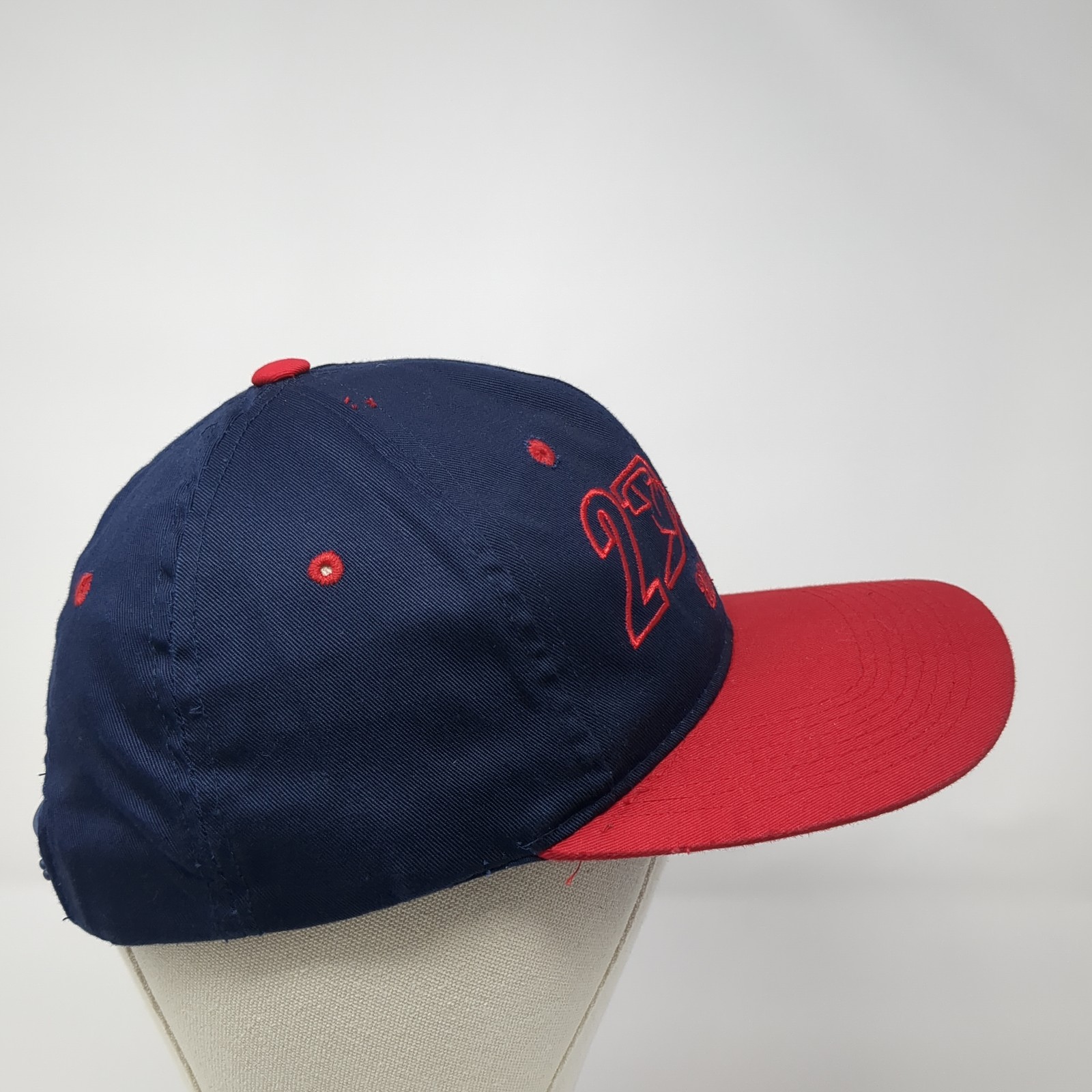 2000 And Beyond Snapback Hat Multicolor One Size Adjustable Embroidered Pioneer