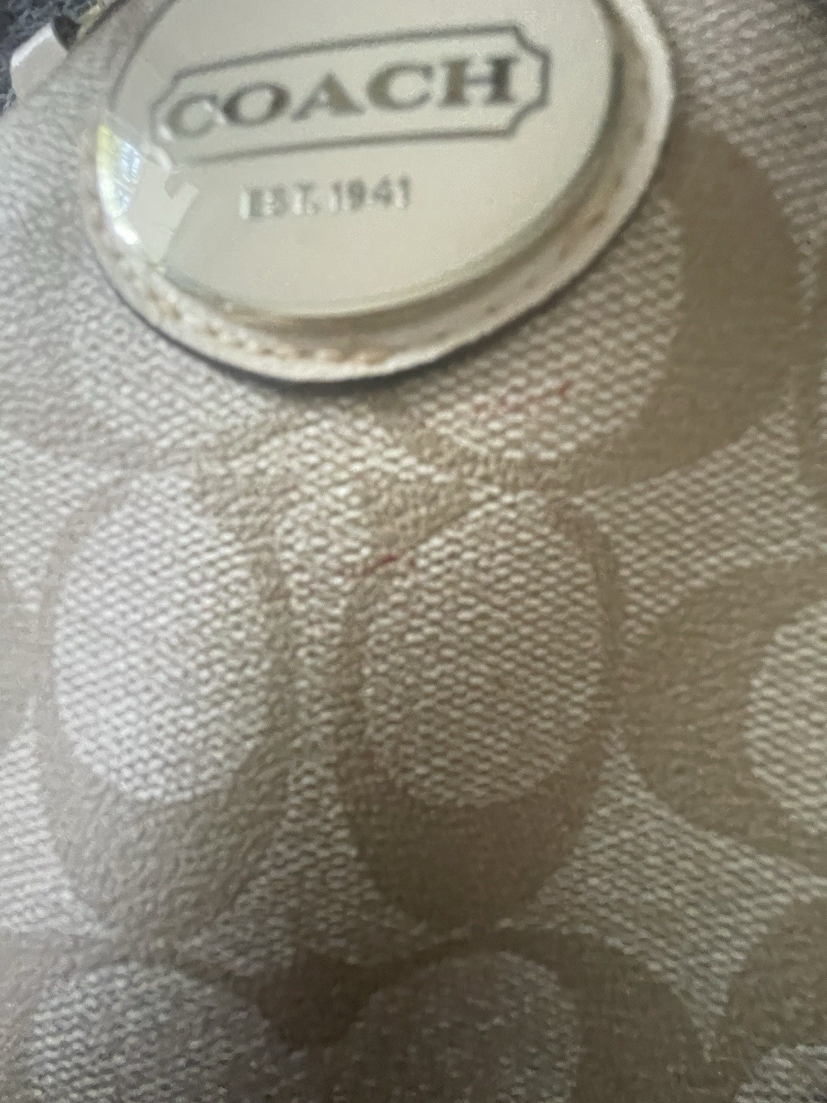 Coach Signature Peyton Pocket Tote