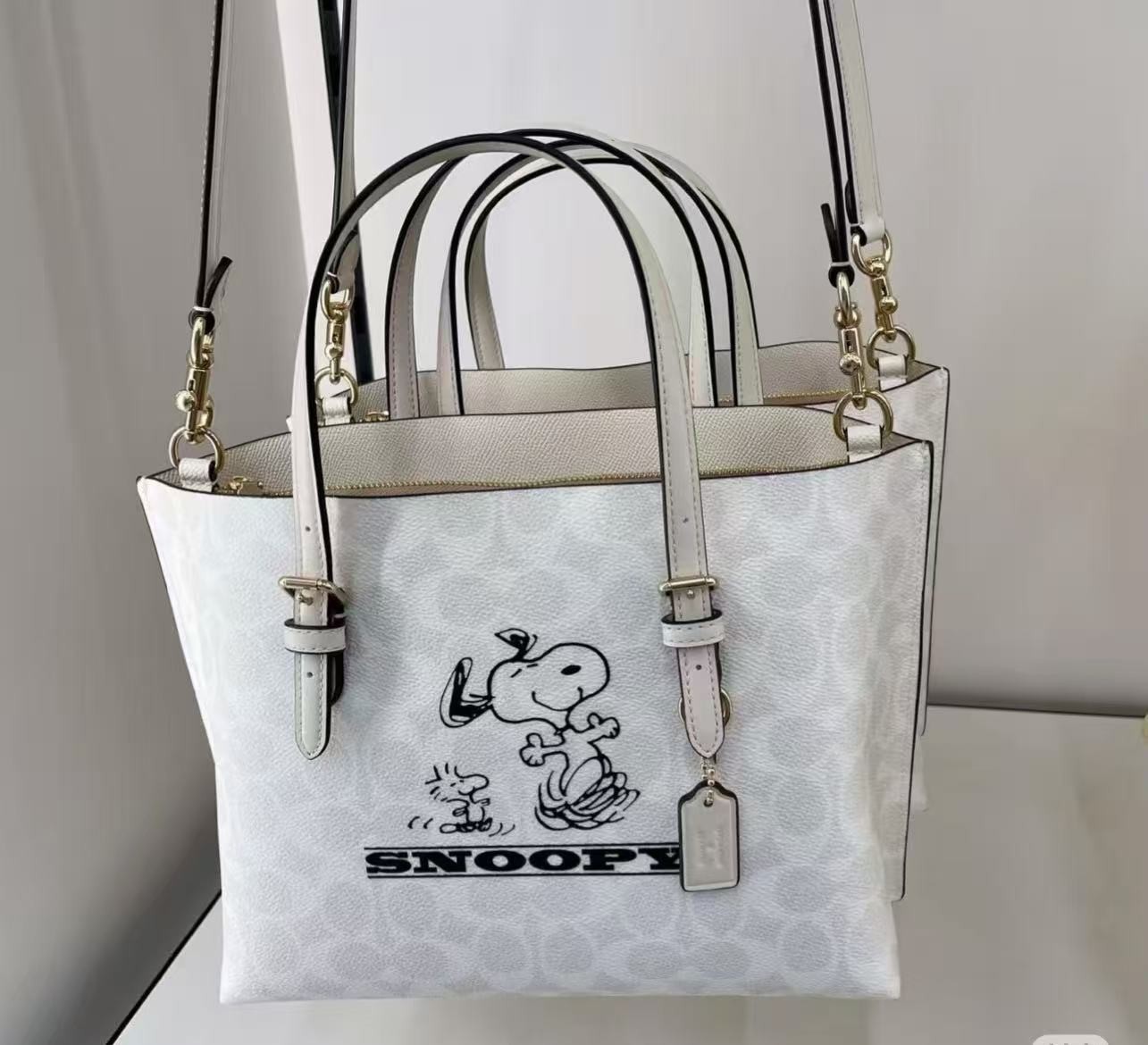 COACH CBJ87 Collaboration Mollie Tote Bag 25 Handbag Canvas