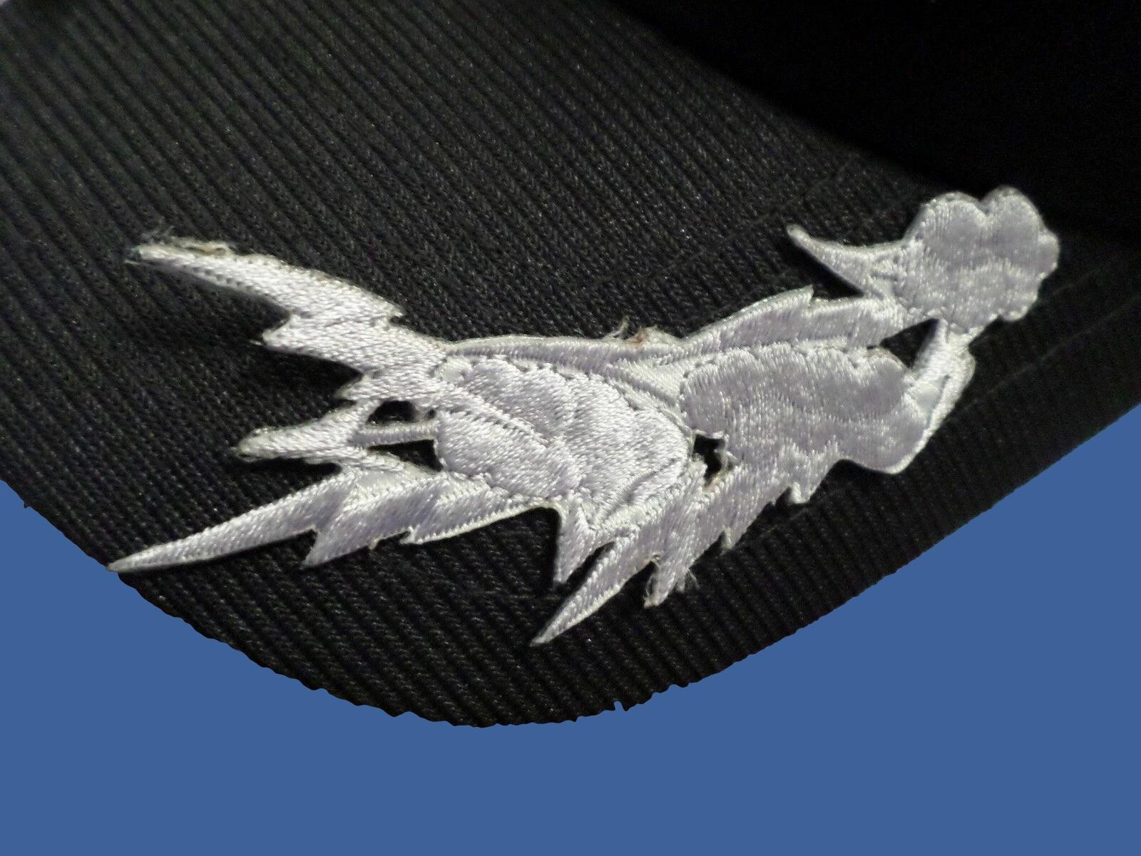 U.S MILITARY EMBROIDERED AIR FORCE CLOUDS & BOLTS OFFICERS FRETTING IRON ON
