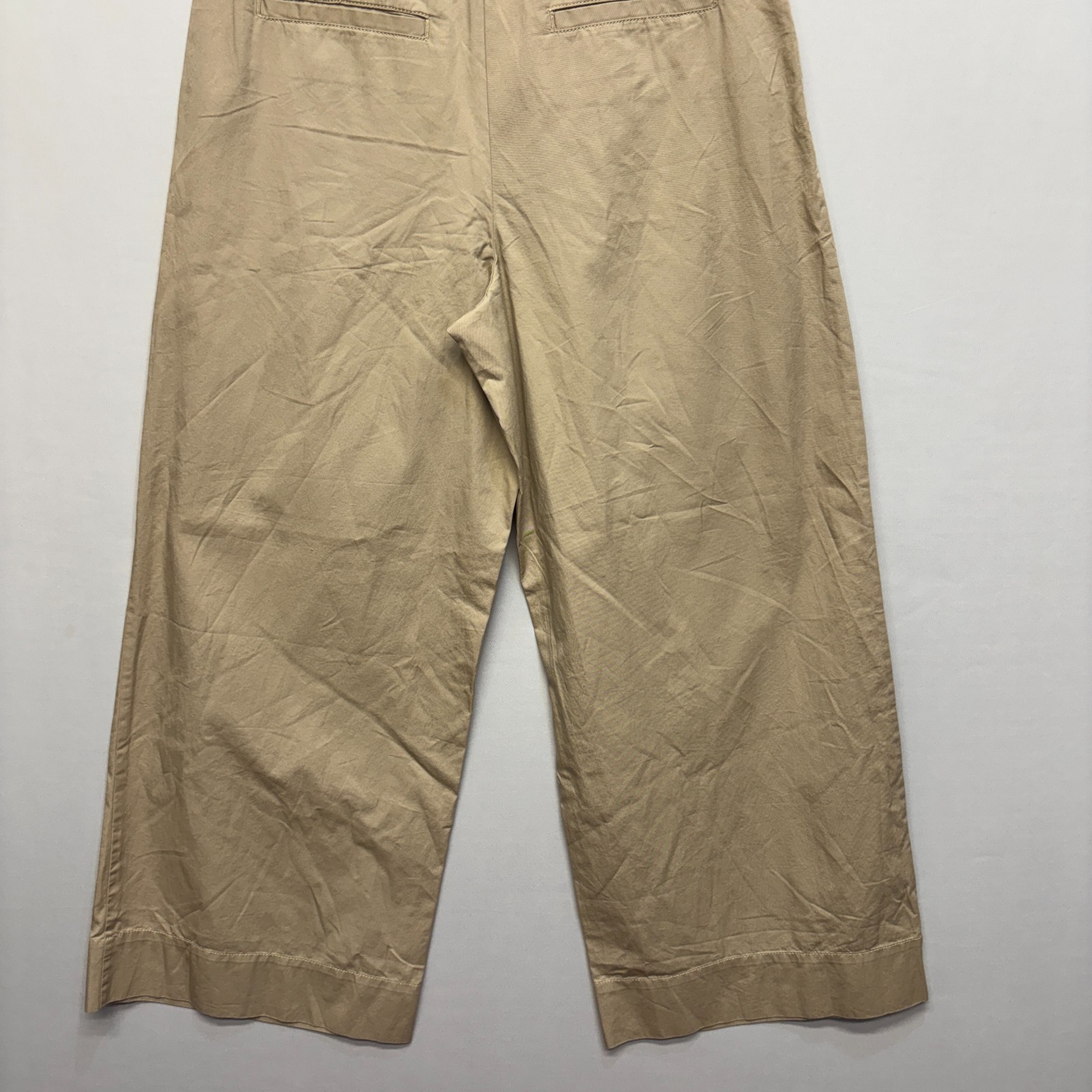 NWT Ann Taylor LOFT Pleated Wide Leg Pants Trouser Size 6 Beige SP24 D077 -27