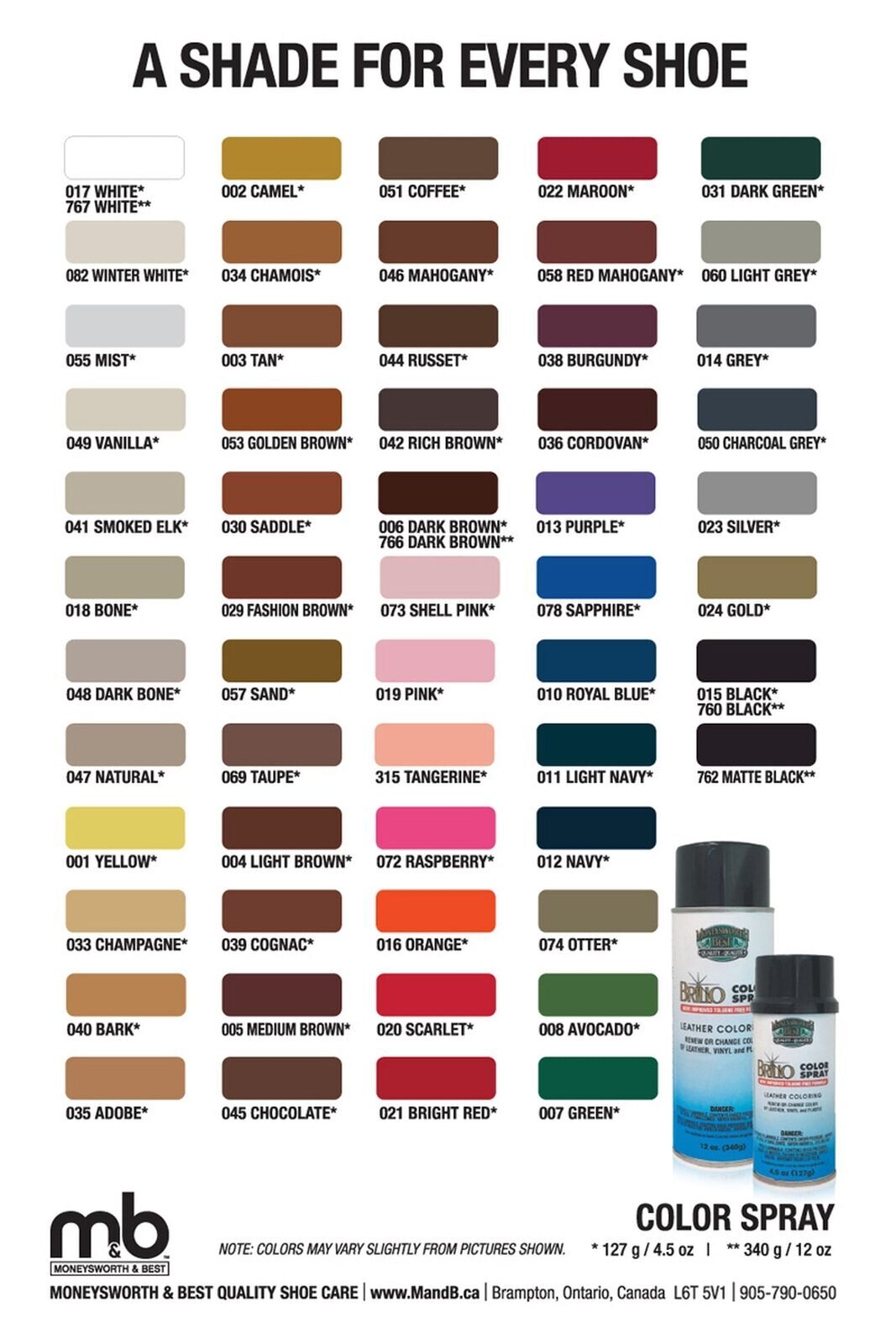 Brillo Color Spray Leather Plastic Vinyl Paint Dye 4.5 oz BY: Moneysworth&Best