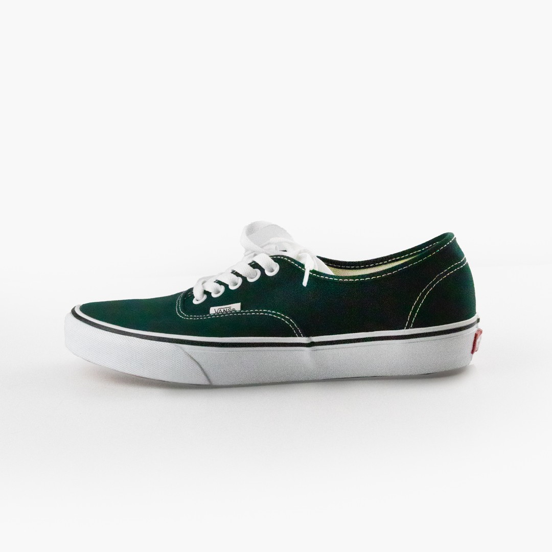 Vans Authentic Color Theory Shoes Scarab