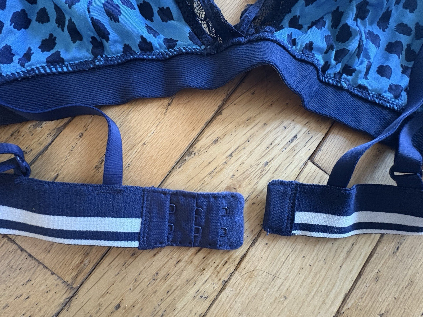 Aerie M Blue Leopard Animal Print Lace Wireless Bralette