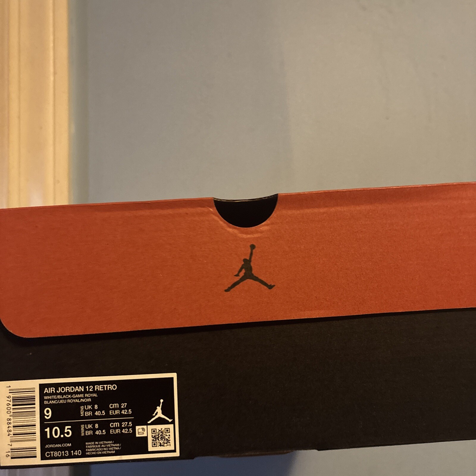 Air Jordan Retro 12