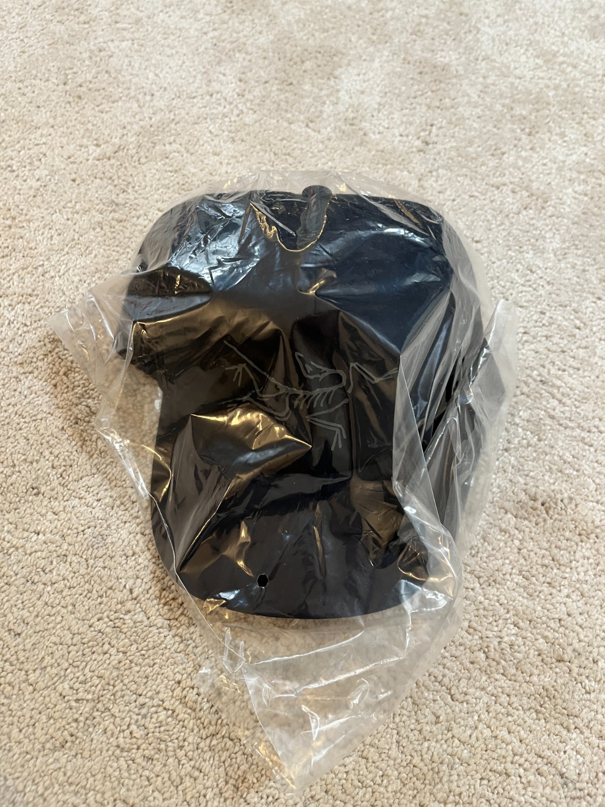 NEW NWT Arc’teryx Bird Trucker Curved Brim Hat Black One Size Adjustable