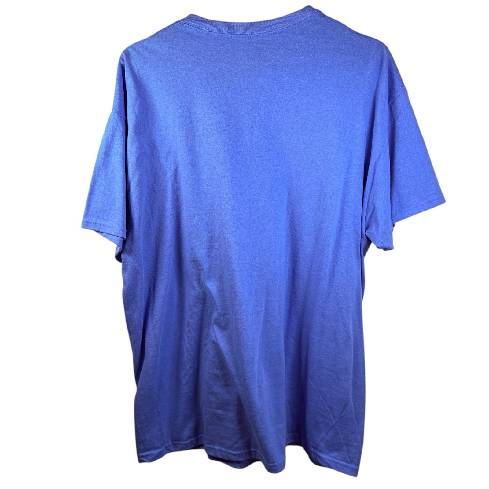 Webworm David Farrier Merch WE ARE ALL INSECTS Graphic T-Shirt XL – Blue