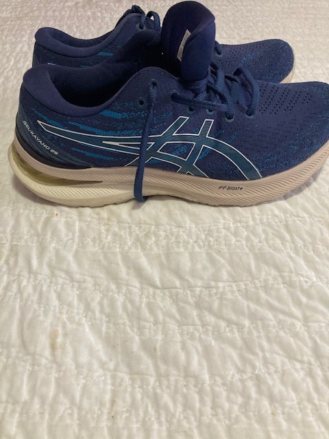 ASICS Gel‑Kayano 29 Men’s 8.5 Blue Running Shoes FF Blast+