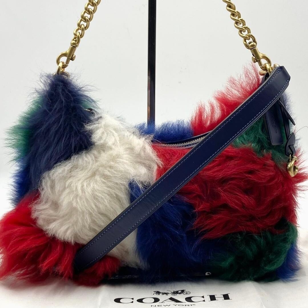 Coach Juliet 25 2 Way Shoulder Bag Blue White Green Red Fur Leather CW646
