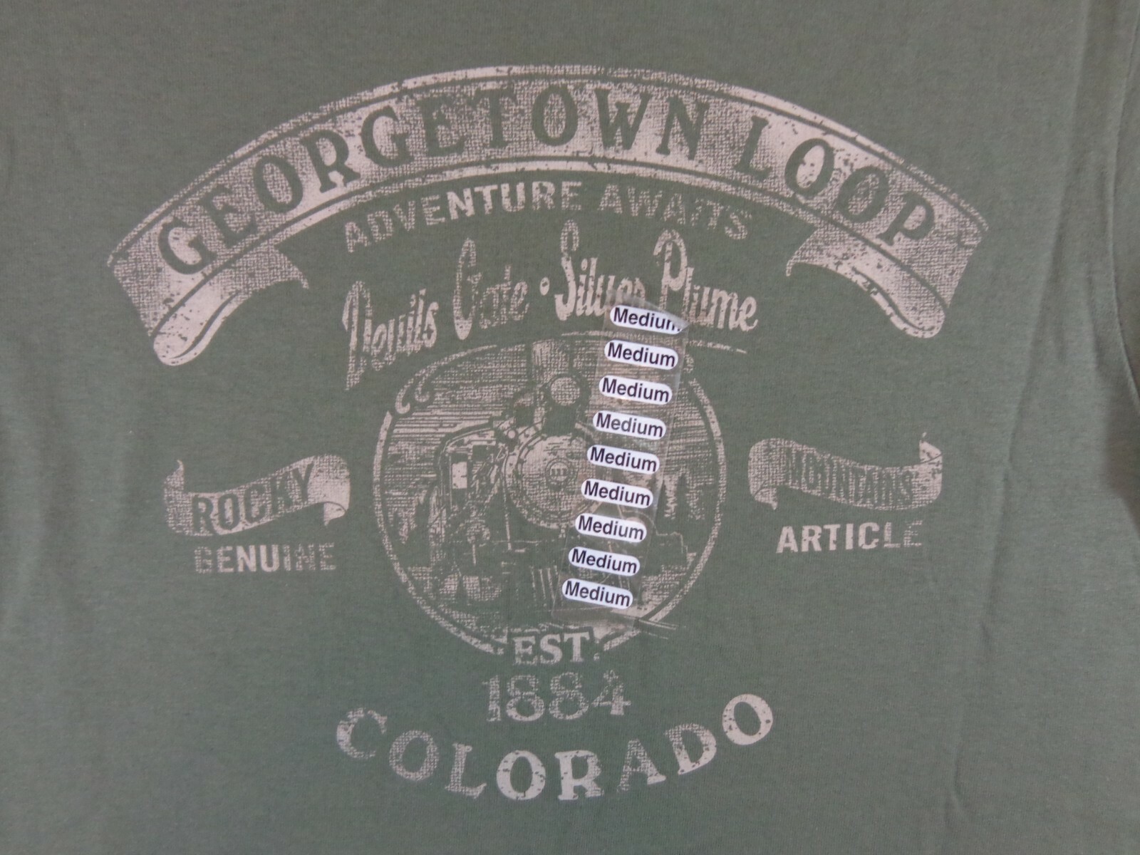 Rocky Mountains T Shirt Men’s Medium Green Colorado Georgetown Loop Graphic New