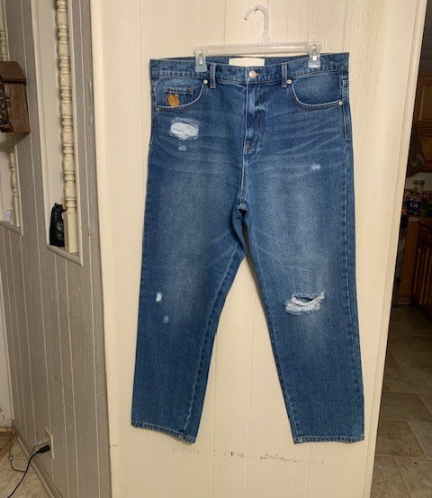 Womens Gloria Vanderbilt X Christian Siriano Miles Straight Jeans Size 32/14