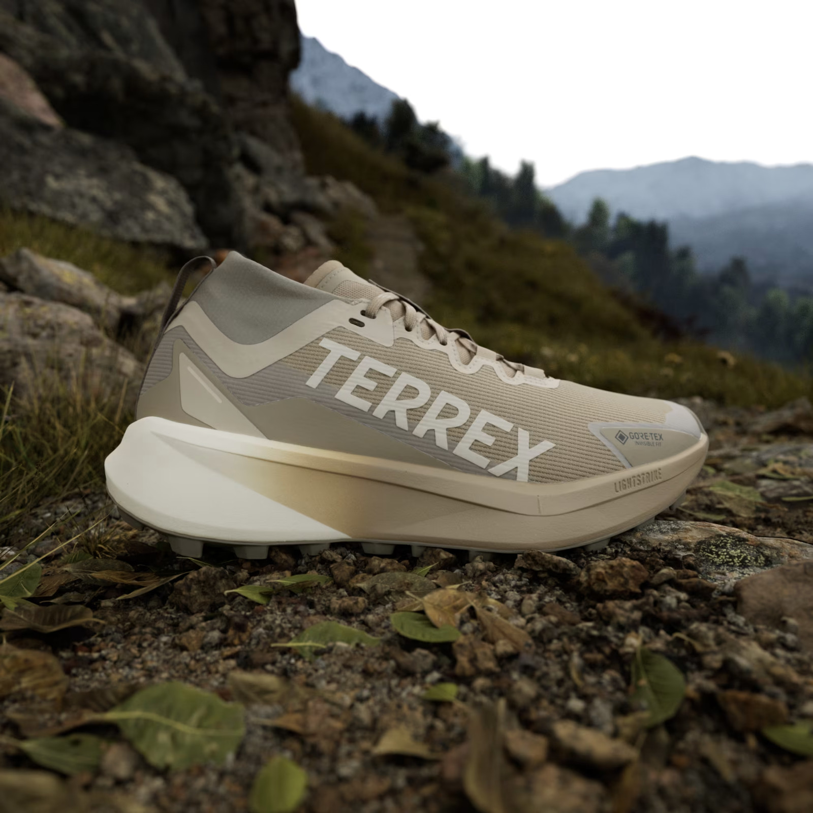 adidas TERREX AGRAVIC GTX TRAIL RUNNING JR1507 Blanch Cargo / Alumina / Beige