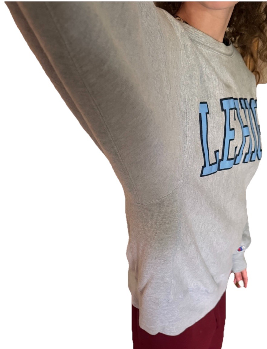 Vintage 1980s Champion Reverse Weave Lehigh University Crewneck