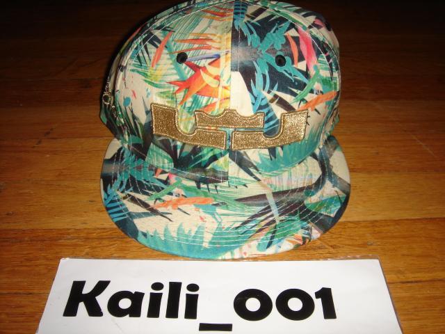 Nike Lebron James Celebration Pack Snap back hat Championship MVP Supreme B