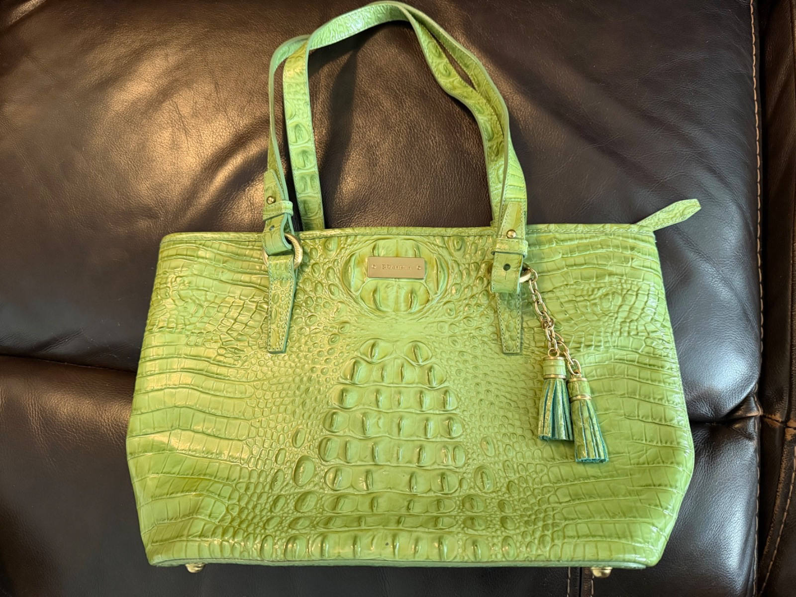 Brahmin Medium Asher Tote in Postacchio Croc Embossed Leather Shoulder Bag