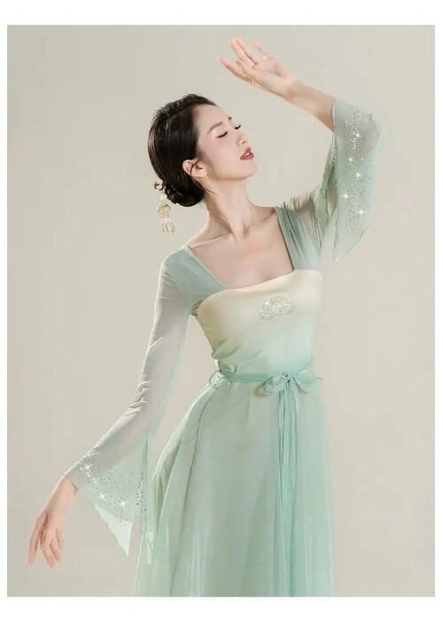 Classical Dance Costume for Women Han Tang Dynasty Showcasing Elegant Mesh Dress