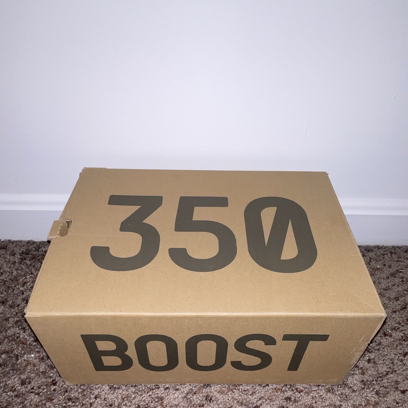 adidas Yeezy Boost 350 V2