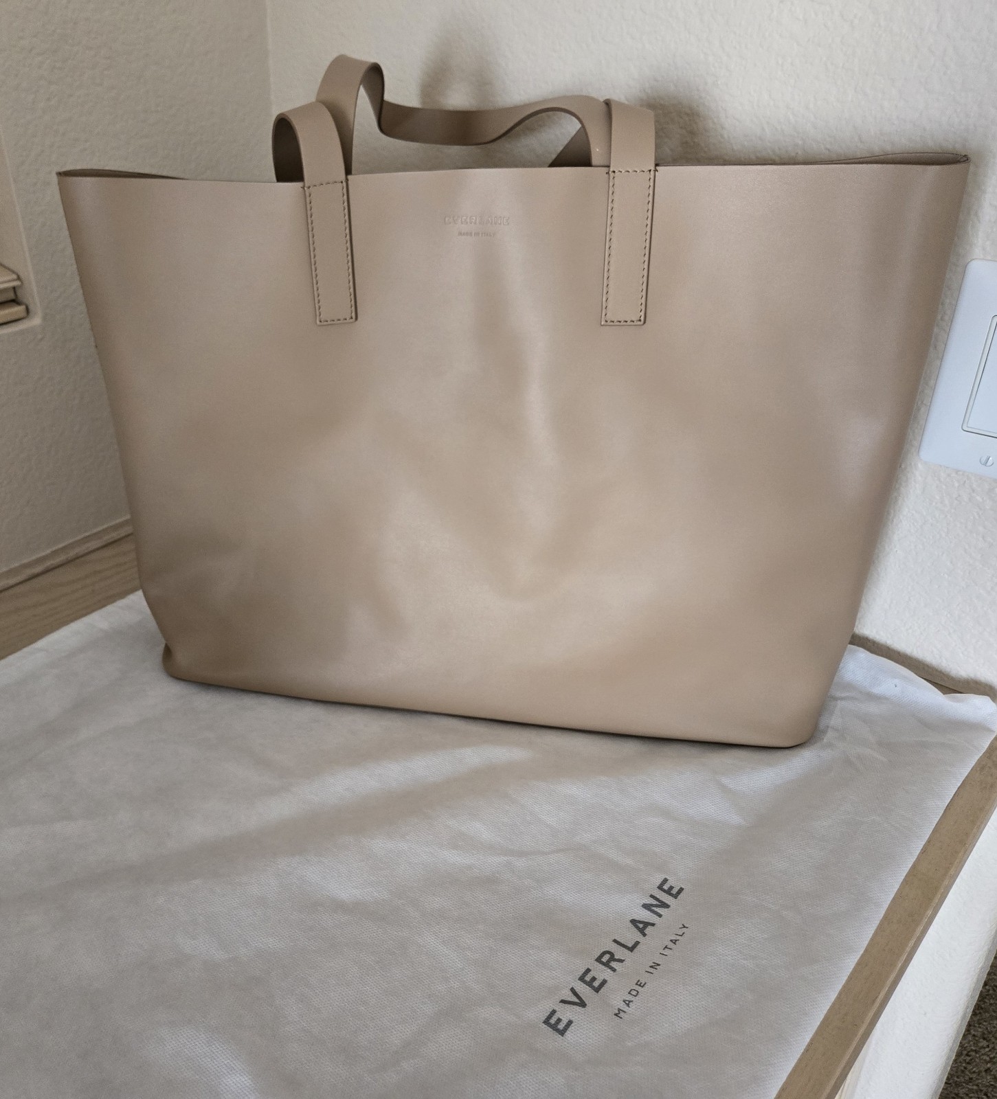 Everlane The Day Market Tote in Light Taupe Leather