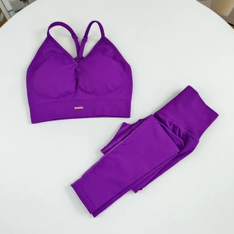 Women’s Seamless Yoga Suit High Waist Sports Bra Leggings Gym Set Fitness Suit