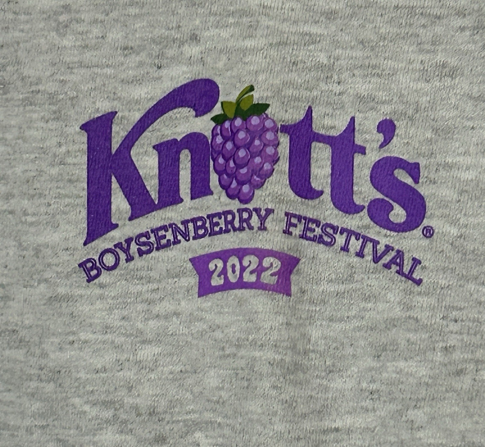 Knott’s Berry Farm 2022 Boysenberry Festival Snoopy & Woodstock T-Shirt 2XL NEW