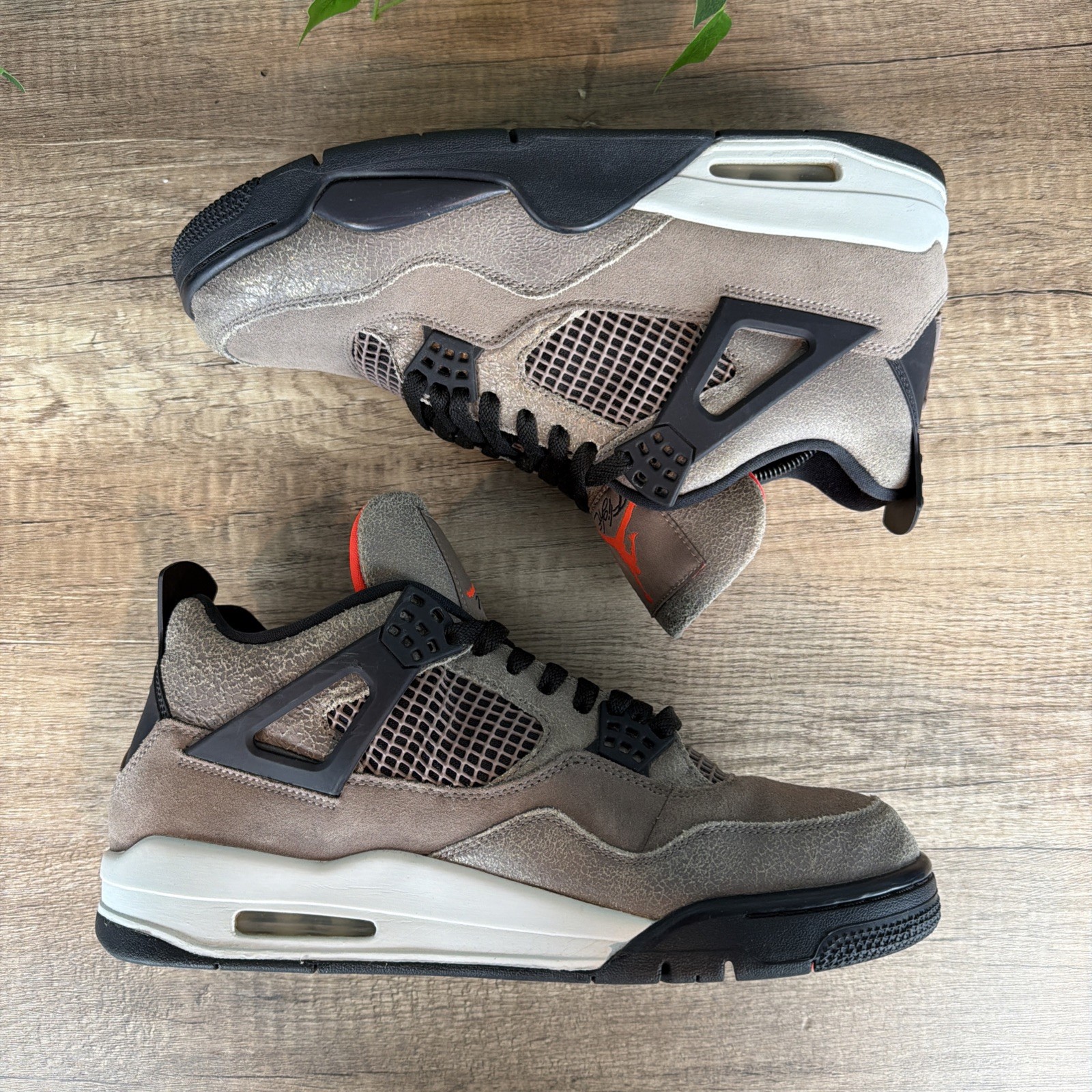 Size 11 – Air Jordan 4 Retro Taupe Haze DB0732-200 2021 OG Authentic